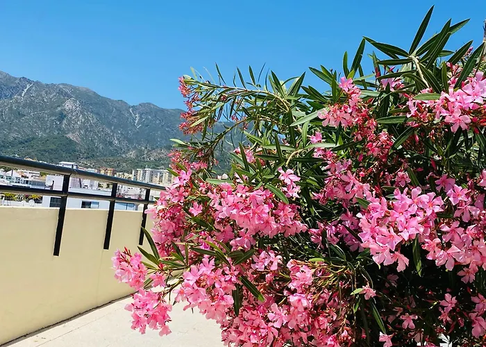 The First Line Of The Sea Apartment
