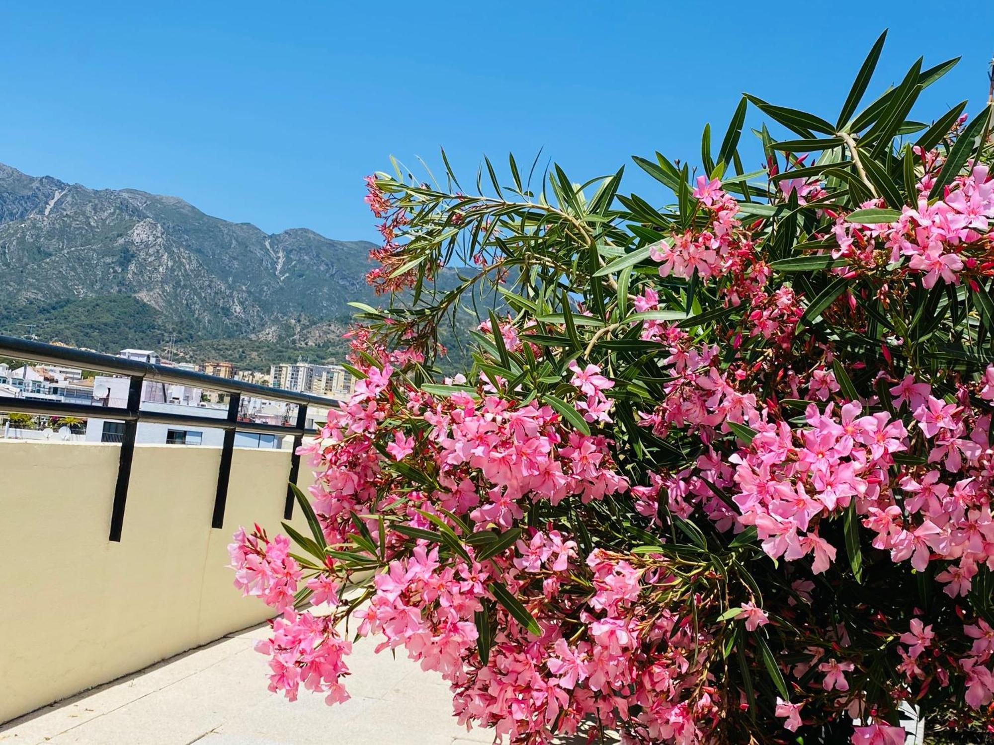 The First Line Of The Sea Apartament Marbella